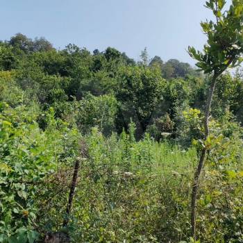 Продается Участок, 620 м²