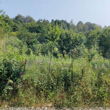 Продается Участок, 620 м²