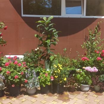 Продается 2-х комнатная квартира, 37 м²