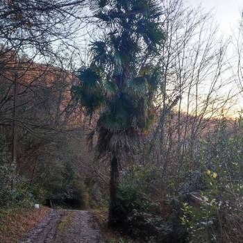 Продается Участок, 800 м²