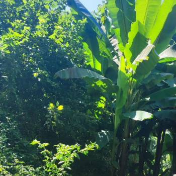 Продается Участок, 800 м²