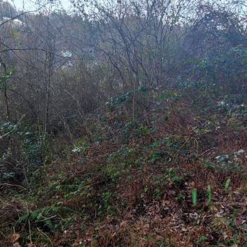 Продается Участок, 800 м²