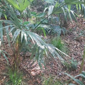 Продается Участок, 800 м²