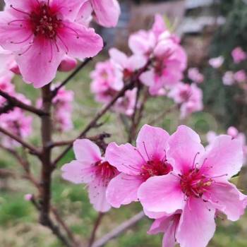 Продается Участок, 800 м²