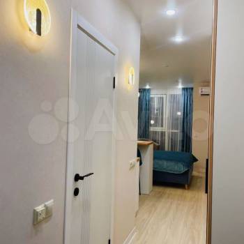 Сдается 1-комнатная квартира, 24,1 м²