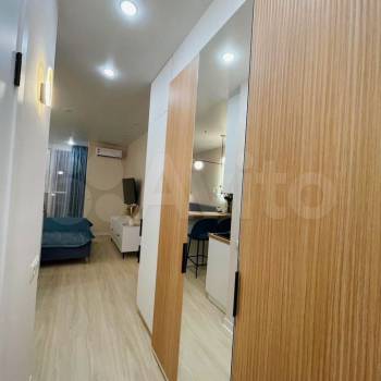 Сдается 1-комнатная квартира, 24,1 м²