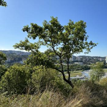 Продается Участок, 525 м²