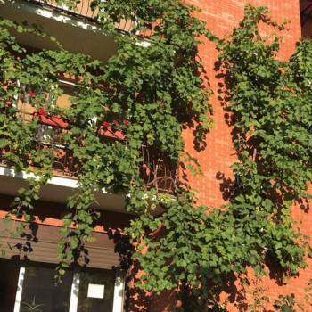 Сдается Комната, 12 м²