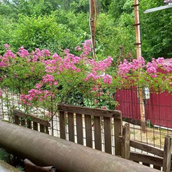 Продается Дом, 34 м²