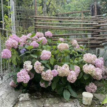 Продается 2-х комнатная квартира, 48,3 м²