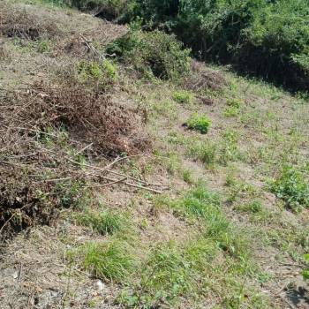 Продается Участок, 690 м²