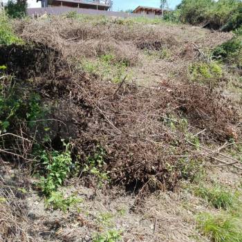 Продается Участок, 690 м²