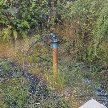 Продается Участок, 460 м²