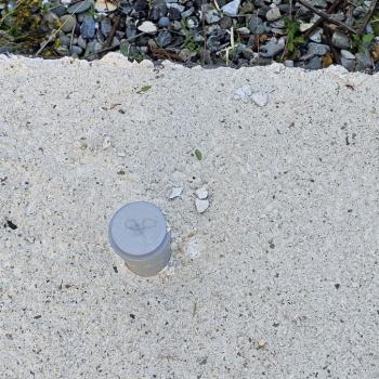 Продается Участок, 460 м²