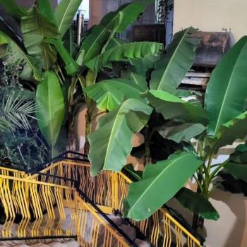 Сдается Комната, 18 м²