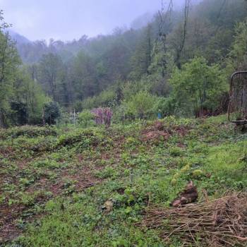 Продается Участок, 500 м²