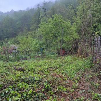 Продается Участок, 500 м²