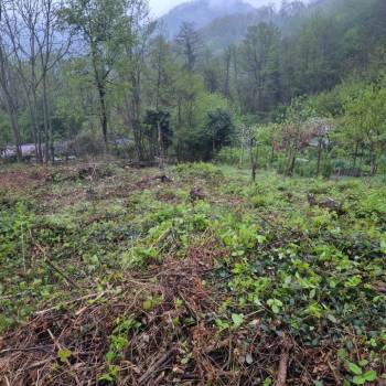 Продается Участок, 500 м²