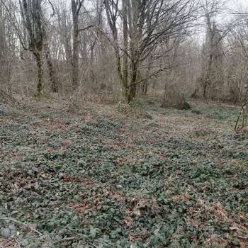 Продается Участок, 500 м²