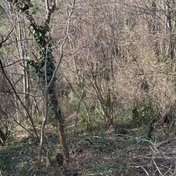 Продается Участок, 850 м²