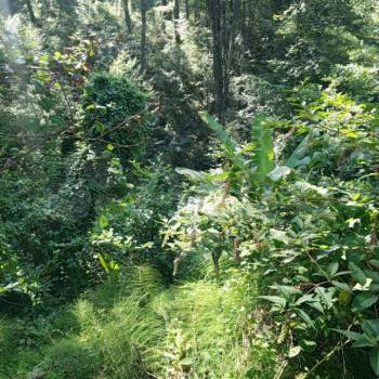 Продается Дом, 150 м²