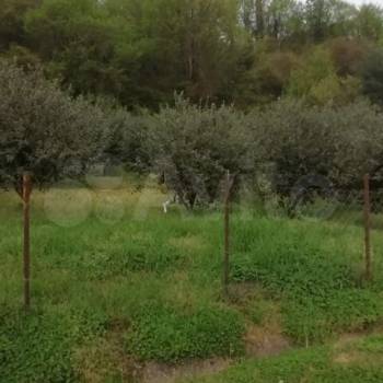 Продается Участок, 500 м²