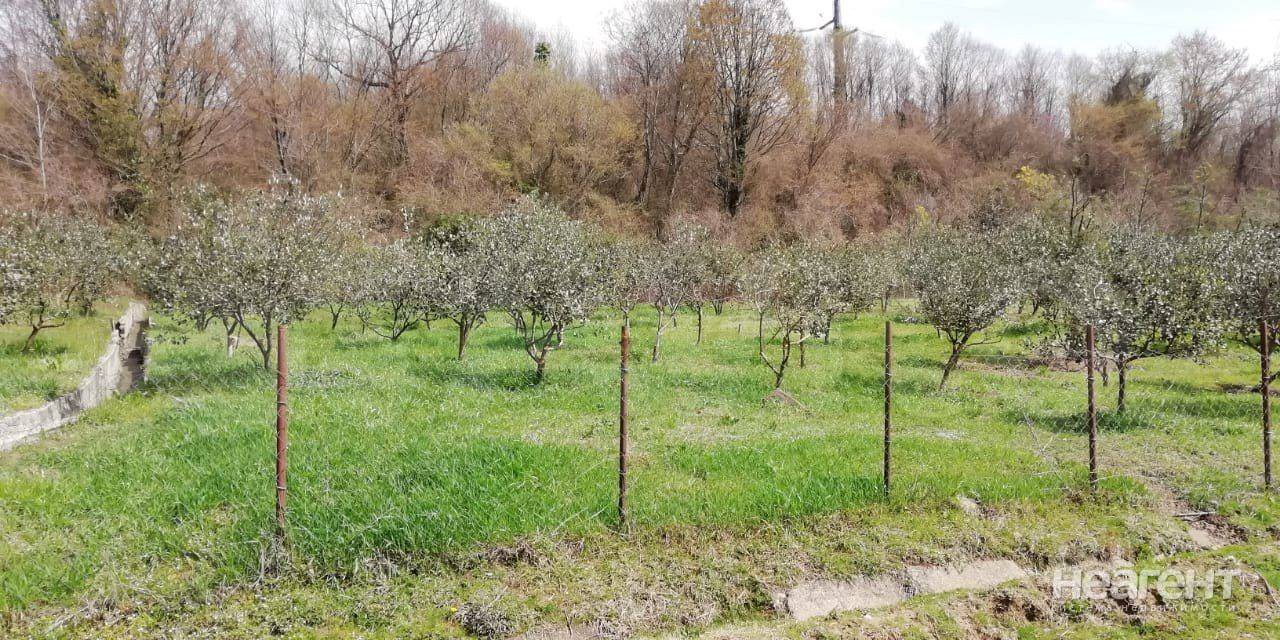 Фотография №4