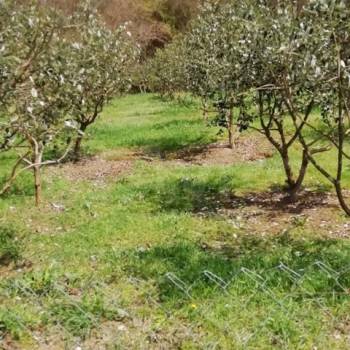 Продается Участок, 500 м²