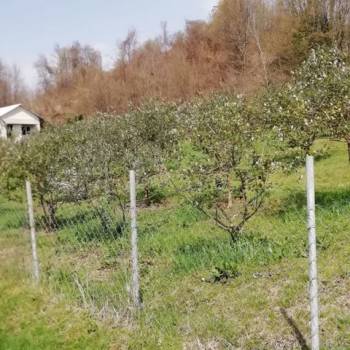 Продается Участок, 500 м²