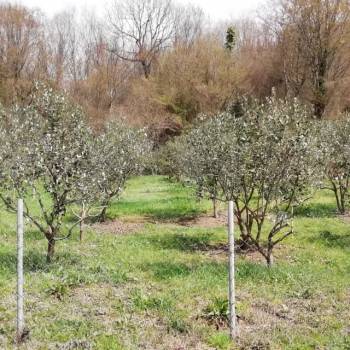 Продается Участок, 500 м²