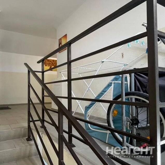 Фотография №2