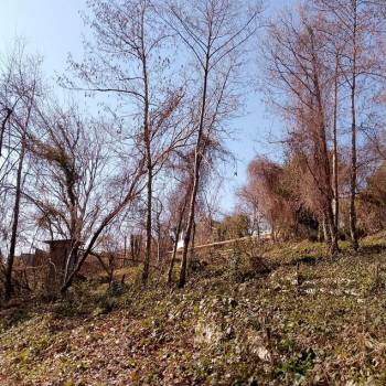 Продается Участок, 900 м²