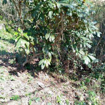 Продается Участок, 900 м²