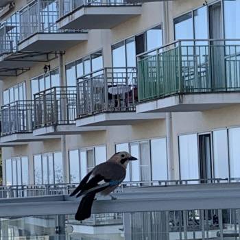 Продается 2-х комнатная квартира, 61,9 м²