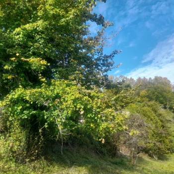 Продается Участок, 600 м²