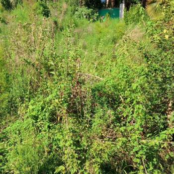 Продается Участок, 950 м²