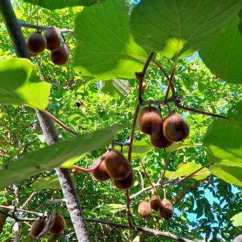 Продается Дом, 105 м²