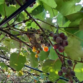 Продается Дом, 105 м²