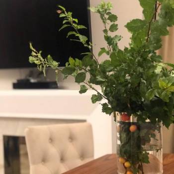 Сдается Многокомнатная квартира, 125 м²