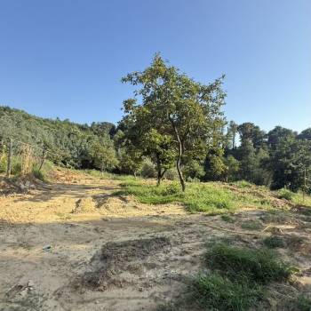 Продается Участок, 600 м²