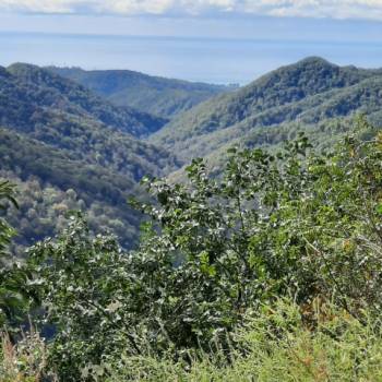 Сдается Посуточно, 20 м²