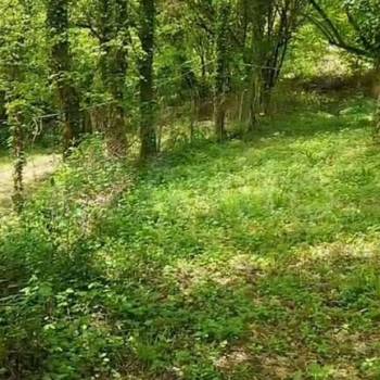 Продается Участок, 1000 м²