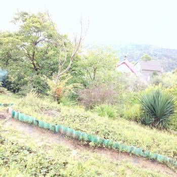 Продается Дом, 51 м²