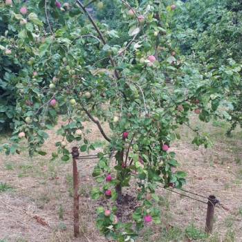 Продается Участок, 1500 м²