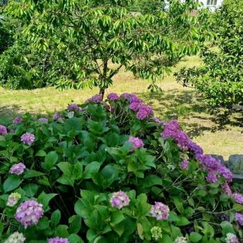 Продается Участок, 1500 м²