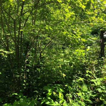 Продается Участок, 800 м²