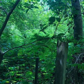 Продается Участок, 800 м²