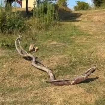 Продается Участок, 2000 м²