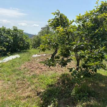 Продается Участок, 2800 м²