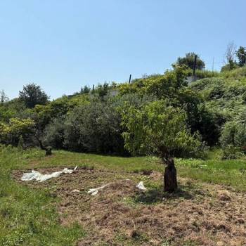 Продается Участок, 2800 м²